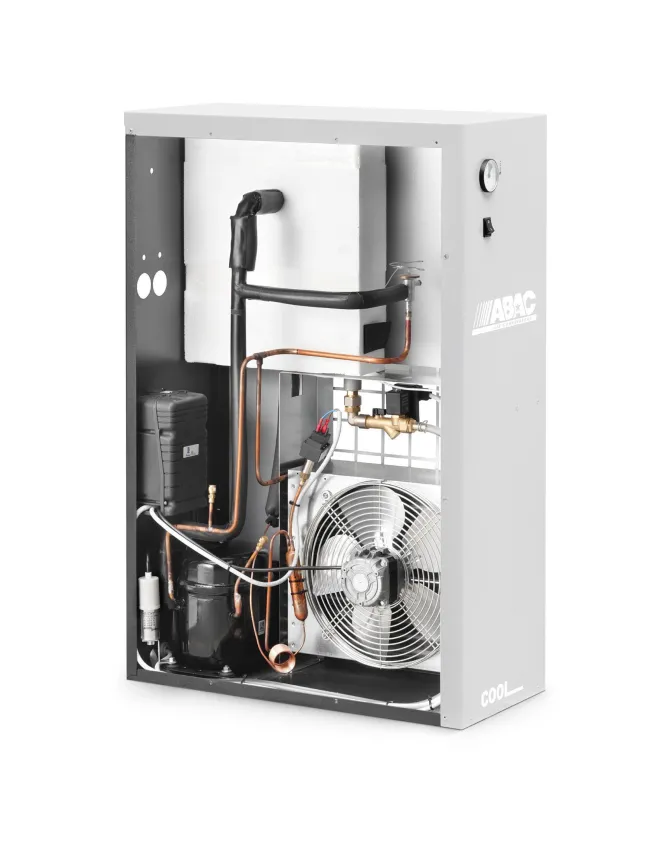 ABAC Kältetrockner COOL 246 | 230V-50Hz 246m³/h