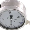 Chemie-Glycerin-Manometer senkrecht,100mm, -1 bis 15 bar