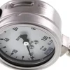 Chemie-Manometer senkrecht, 63mm, 0 - 100 bar