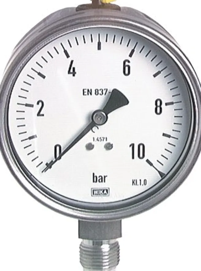 Chemie-Manometer senkrecht, 100mm, 0 - 6 bar