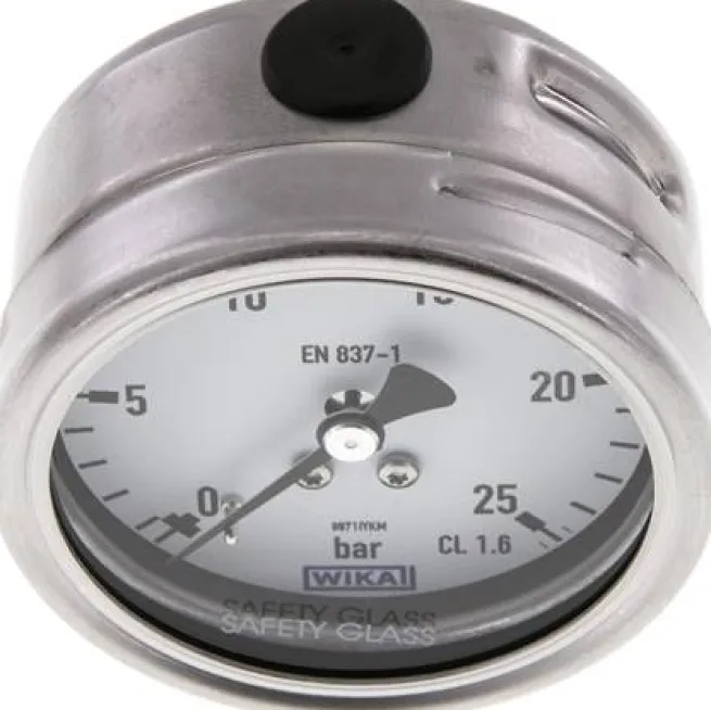 Chemie-Manometer waagerecht, 63mm, 0 - 25 bar, Edelstahl