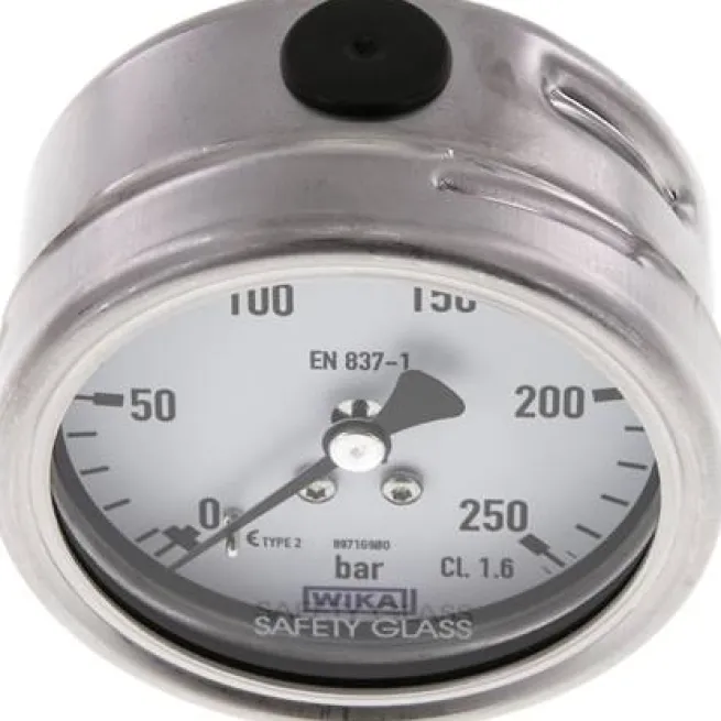 Chemie-Manometer waagerecht, 63mm, 0 - 250 bar