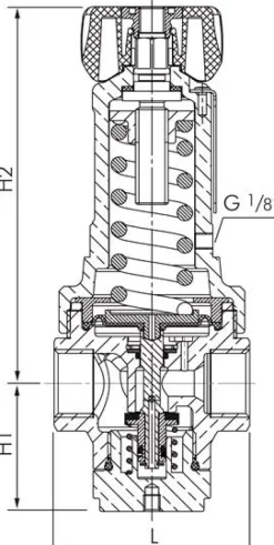 Druckregler, 1.4408, G 1/2", 0,5 - 15bar (Standard)