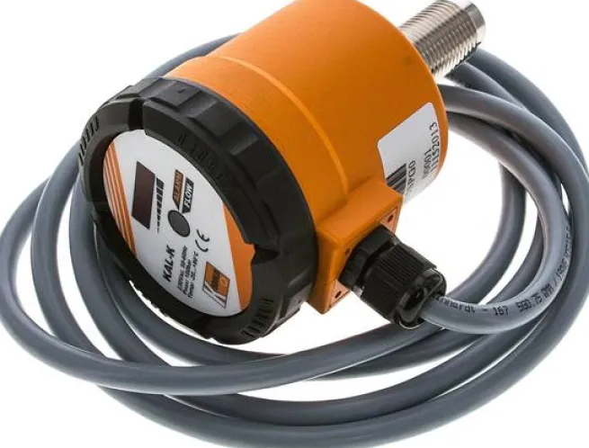 elektron. Strömungswächter G 1/2", 230 V AC, Werkstoff Messglied: 1.4404