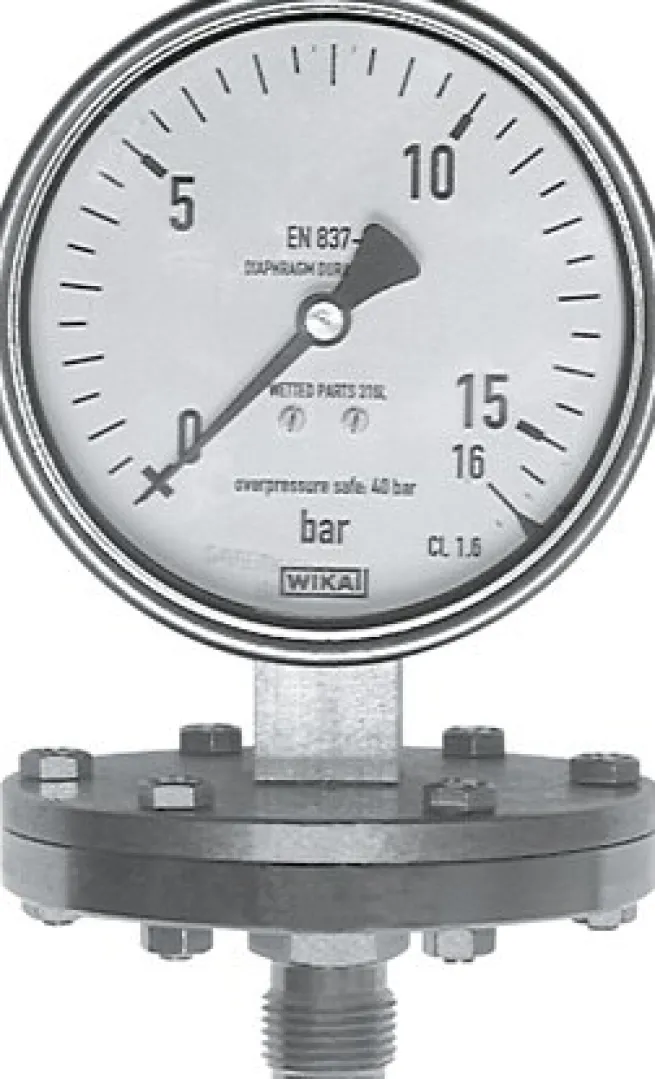 ES-Plattenfeder-Manometer senkrecht, 100mm, -1 bis 9 bar
