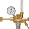 Flaschendruckminderer 0 - 30 l/min für Formiergas (200 bar)