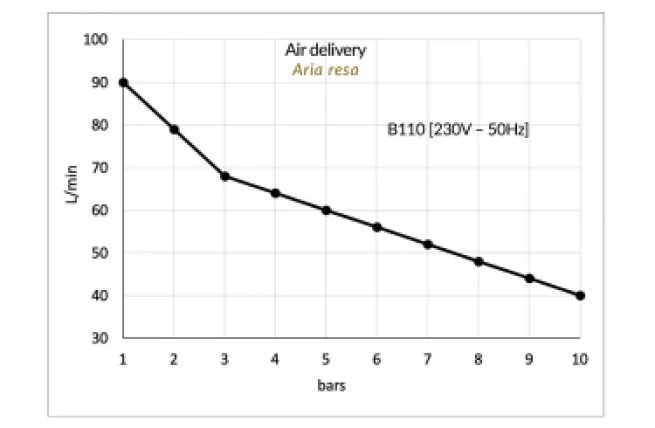 Gentilin ölfreier Kompressor B110/05 – Das tragbare Transportgenie