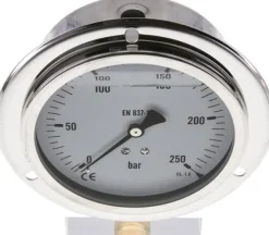 Glycerin-Einbaumanometer,Frontring, 100mm, 0 - 250 bar -Eco-Line