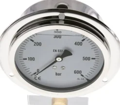 Glycerin-Einbaumanometer,Frontring, 100mm, 0 - 600 bar -Eco-Line
