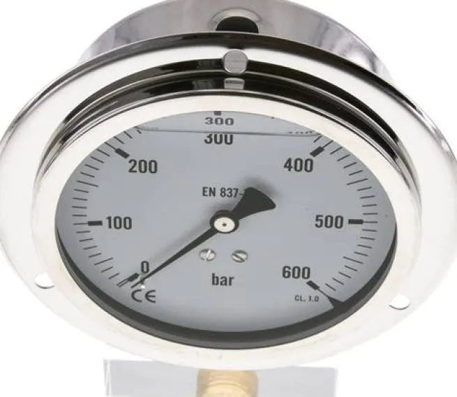 Glycerin-Einbaumanometer,Frontring, 100mm, 0 - 600 bar -Eco-Line