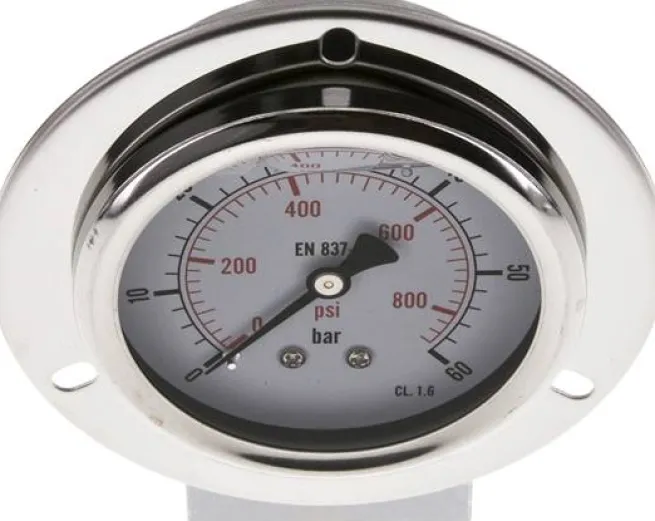 Glycerin-Einbaumanometer,Frontring, 63mm, 0 - 60 bar -Eco-Line