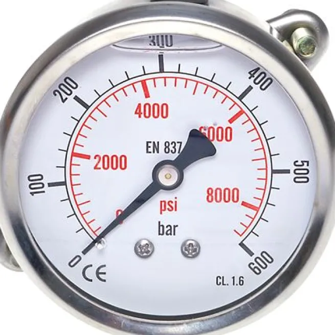Glycerin-Einbaumanometer, 3kt-Frontring, 63mm, 0 - 10 bar -Eco-Line
