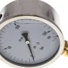 Glycerin-Manometer senkrecht (CrNi/Ms),100mm, 0 - 160 bar -Eco-Line