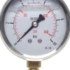 Glycerin-Manometer senkrecht (CrNi/Ms), 63mm, 0 - 6 bar -Eco-Line