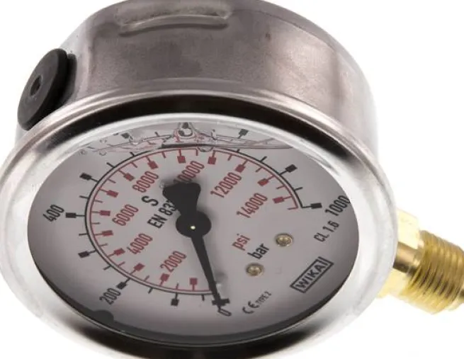 Glycerin-Manometer senkrecht (CrNi/Ms), 63mm, 0 - 1000 bar