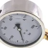 Glycerin-Manometer senkrecht (CrNi/Ms),100mm, 0 - 1000 bar -Eco-Line