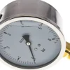 Glycerin-Manometer senkrecht (CrNi/Ms),100mm, 0 - 6 bar -Eco-Line