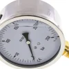 Glycerin-Manometer senkrecht (CrNi/Ms),100mm, 0 - 250 bar -Eco-Line