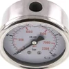 Glycerin-Manometer waagerecht (CrNi/Ms),63mm, 0 - 160bar -Eco-Line