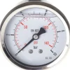 Glycerin-Manometer waagerecht (CrNi/Ms),63mm, 0 - 100bar -Eco-Line