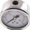 Glycerin-Manometer waagerecht (CrNi/Ms),63mm, 0 - 10bar -Eco-Line