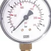 Manometer senkrecht (KU/Ms), 50mm, 0 bis 1 bar, G 1/4"
