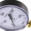 Manometer senkrecht, 100mm, 0 - 400 bar