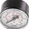 Manometer waagerecht (ST/Ms), 50mm, 0 - 60 bar, G 1/4"