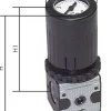 MULTIFIX Manometerregler, G 1/4", 0,5 - 10bar, Multifix 0