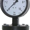 Plattenfeder-Manometer senkrecht, 100mm, 0 - 25 bar