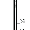 Prebena Coilnägel CNF21/50BKRI Ringschaft