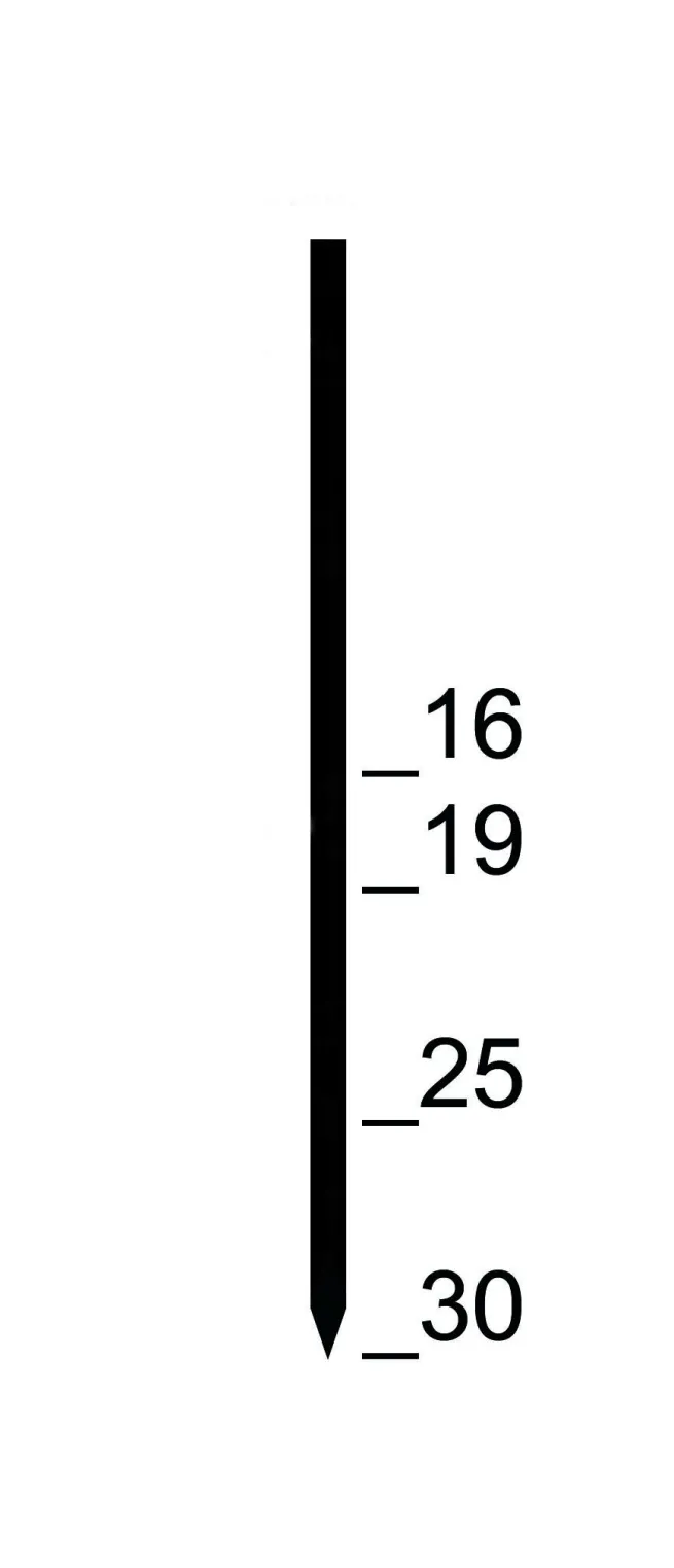 Prebena Pins GA30CNKHA