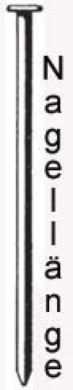 Prebena Streifennägel RK31/80BKRI Ringschaft