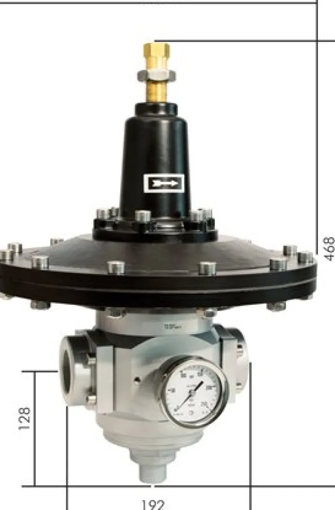 Präzisions-Druckminderer G 1-1/2", 20 - 50 mbar