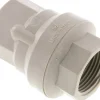 Rückschlagventil (leicht), G 1", PN 6, Polypropylen