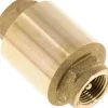 Rückschlagventil (Vakuum), G 3/8", PN 25, Messing