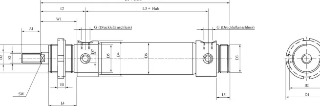 Rundzylinder, Kolben 32 mm, Hub 50 mm, Typ DSWPM 32/50