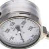 Sicherheits-Manometer senkrecht, 100mm, 0 - 250 bar