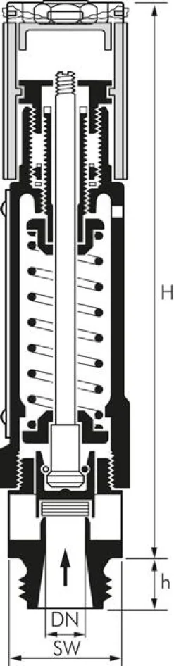 TÜV-Hochleistungssicherheitsventil G 1-1/4", 5,0 bar